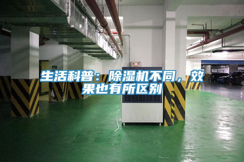 生活科普：榴莲视频官网APP不同，效果也有所區別