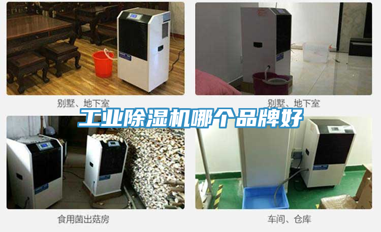 工業榴莲视频官网APP哪個品牌好