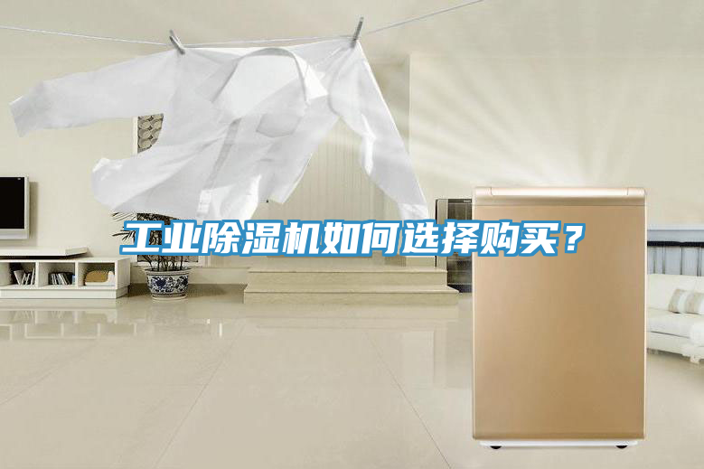 工業榴莲视频官网APP如何選擇購買？