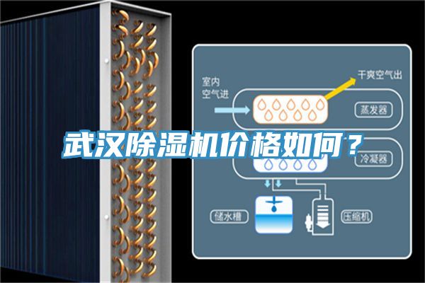 武漢榴莲视频官网APP價格如何？