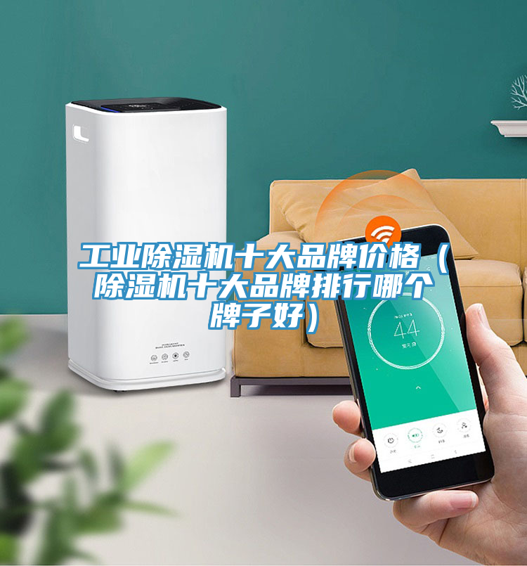 工業榴莲视频官网APP十大品牌價格（榴莲视频官网APP十大品牌排行哪個牌子好）