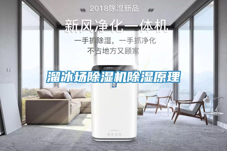 溜冰場榴莲视频官网APP除濕原理