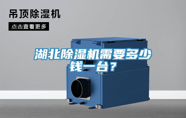 湖北榴莲视频官网APP需要多少錢一台？