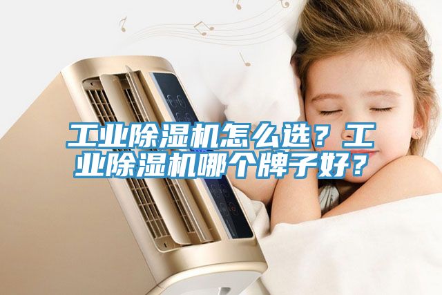 工業榴莲视频官网APP怎麽選？工業榴莲视频官网APP哪個牌子好？