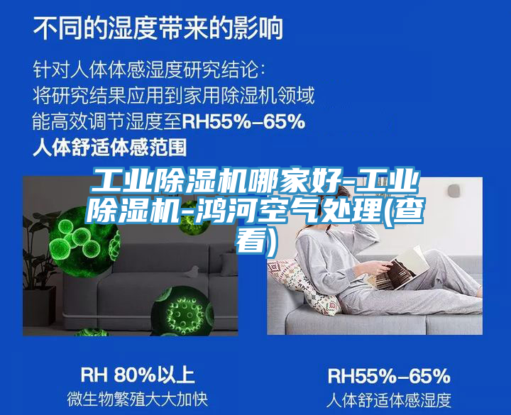 工業榴莲视频官网APP哪家好-工業榴莲视频官网APP-鴻河空氣處理(查看)
