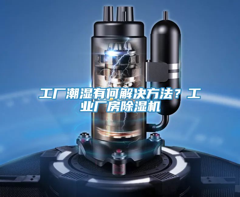 工廠潮濕有何解決方法？工業廠房榴莲视频官网APP