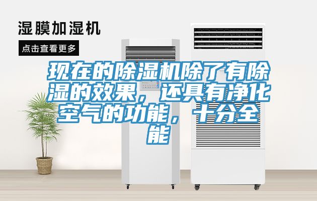 現在的榴莲视频官网APP除了有除濕的效果，還具有淨化空氣的功能，十分全能