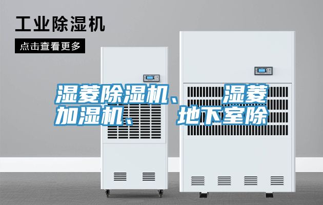 濕菱榴莲视频官网APP、  濕菱加濕機、  地下室除