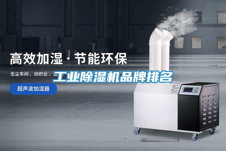 工業榴莲视频官网APP品牌排名