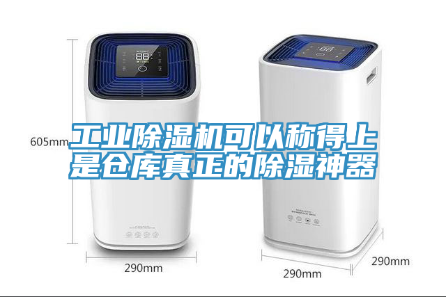工業榴莲视频官网APP可以稱得上是倉庫真正的除濕神器