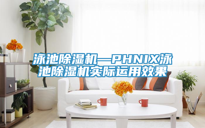 泳池榴莲视频官网APP—PHNIX泳池榴莲视频官网APP實際運用效果
