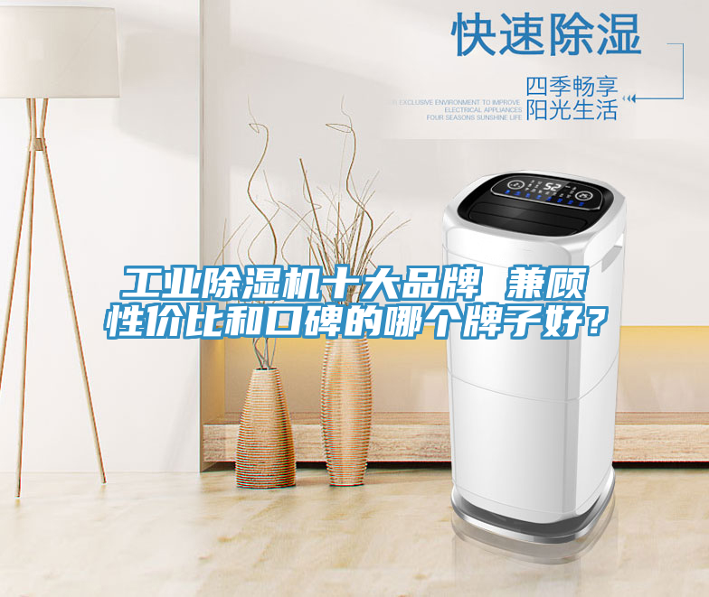 工業榴莲视频官网APP十大品牌 兼顧性價比和口碑的哪個牌子好？