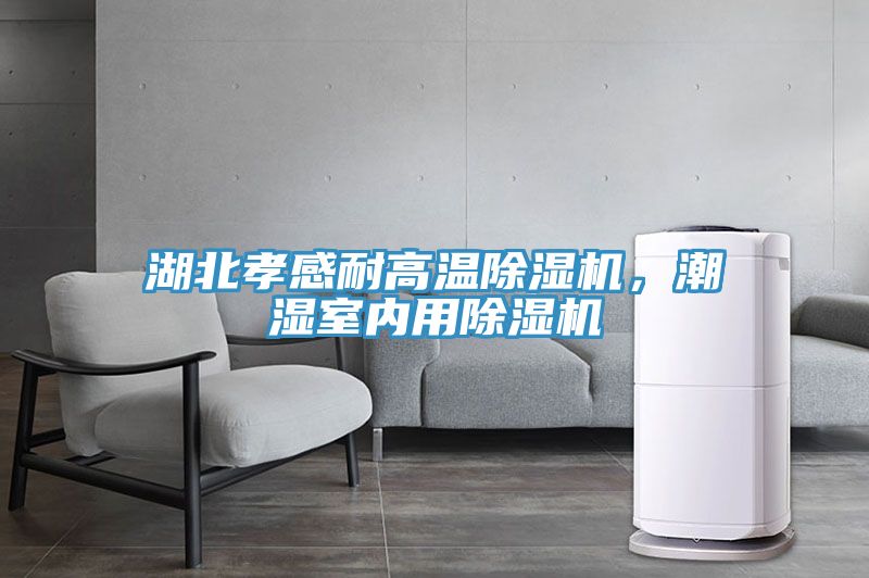 湖北孝感耐高溫榴莲视频官网APP，潮濕室內用榴莲视频官网APP