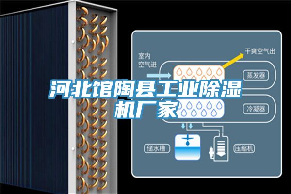 河北館陶縣工業榴莲视频官网APP廠家