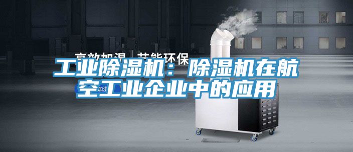 工業榴莲视频官网APP：榴莲视频官网APP在航空工業企業中的應用