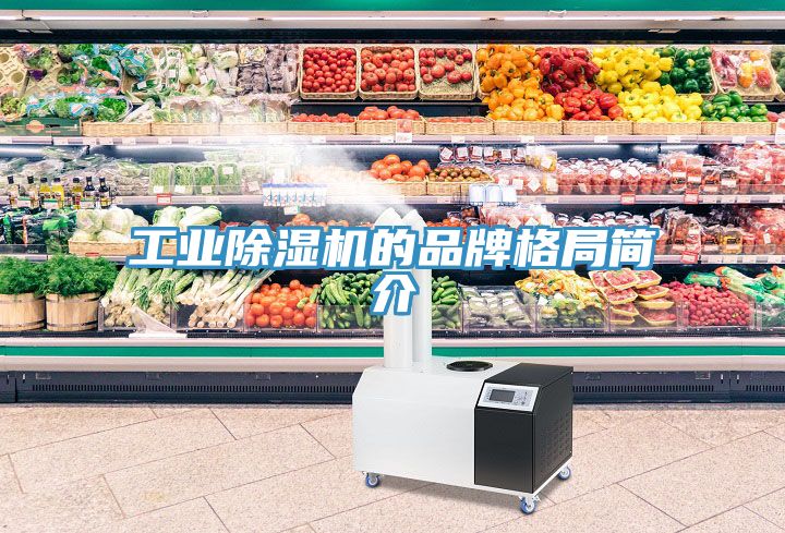 工業榴莲视频官网APP的品牌格局簡介