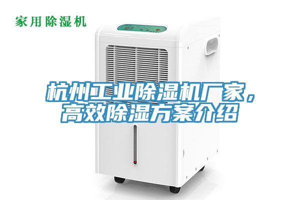 杭州工業榴莲视频官网APP廠家，高效除濕方案介紹