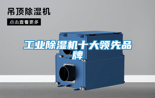 工業榴莲视频官网APP十大領先品牌
