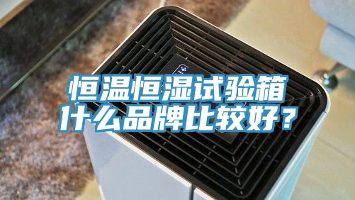 恒溫恒濕試驗箱什麽品牌比較好？