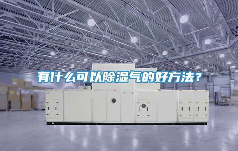 有什麽可以除濕氣的好方法？