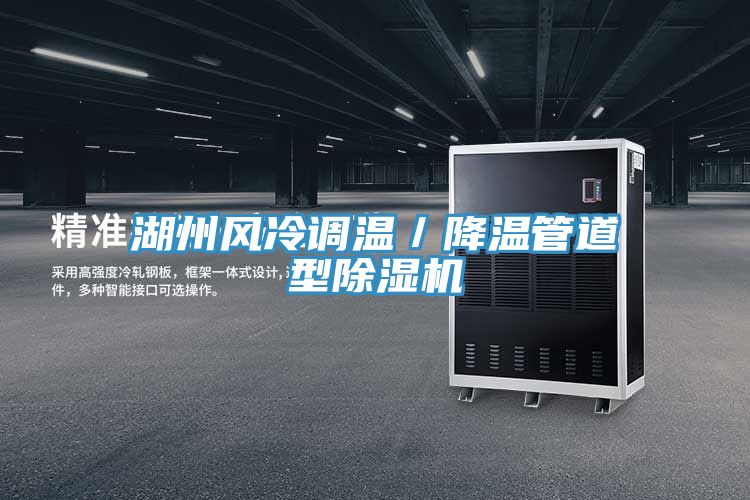 湖州風冷調溫／降溫管道型榴莲视频官网APP