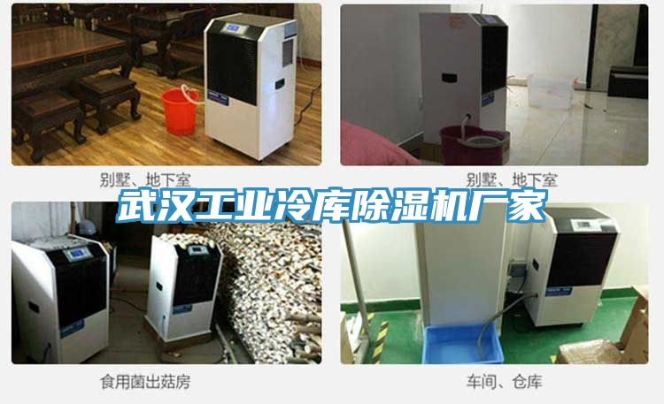武漢工業冷庫榴莲视频官网APP廠家