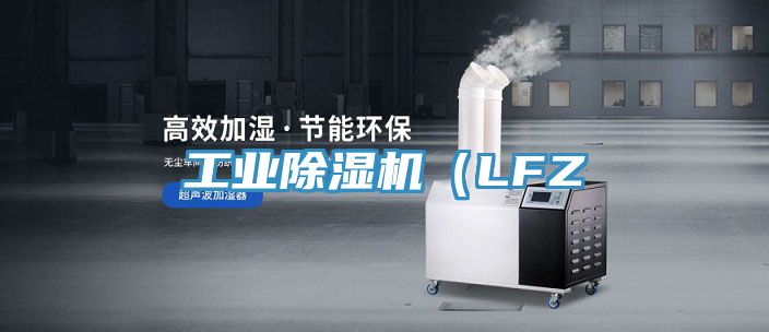 工業榴莲视频官网APP（LFZ