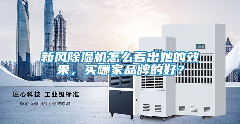 新風榴莲视频官网APP怎麽看出她的效果，買哪家品牌的好？