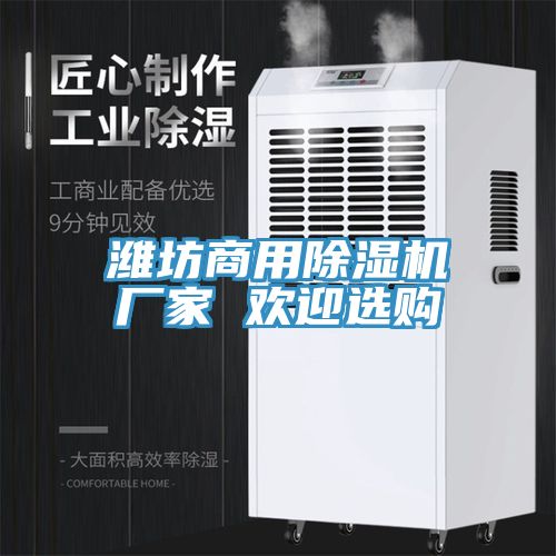 濰坊商用榴莲视频官网APP廠家 歡迎選購