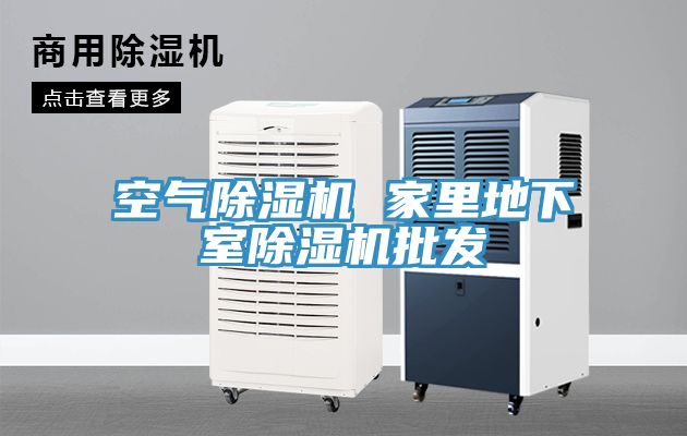 空氣榴莲视频官网APP 家裏地下室榴莲视频官网APP批發