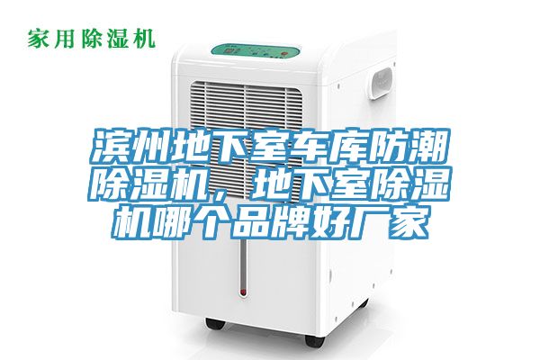 濱州地下室車庫防潮榴莲视频官网APP，地下室榴莲视频官网APP哪個品牌好廠家