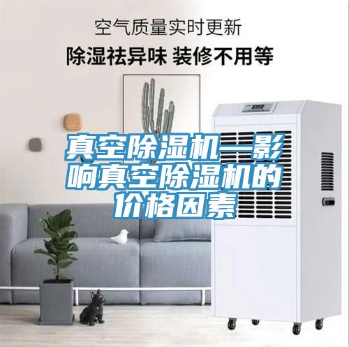 真空榴莲视频官网APP—影響真空榴莲视频官网APP的價格因素