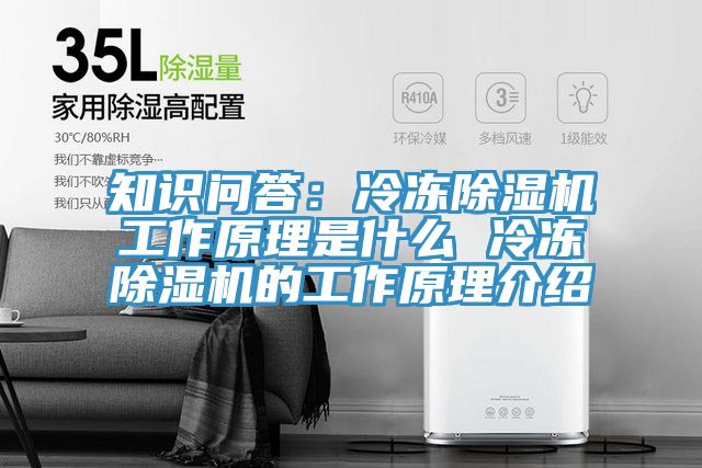 知識問答：冷凍榴莲视频官网APP工作原理是什麽 冷凍榴莲视频官网APP的工作原理介紹