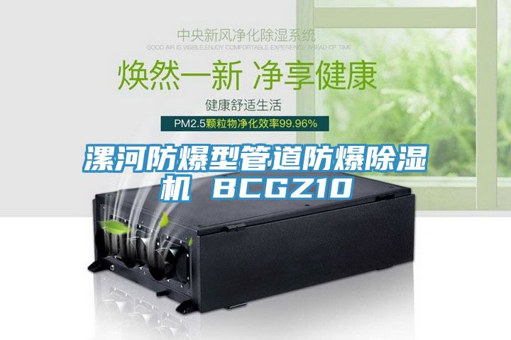 漯河防爆型管道防爆榴莲视频官网APP BCGZ10