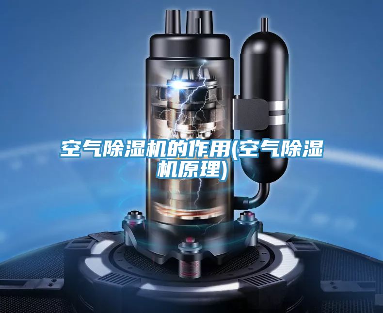 空氣榴莲视频官网APP的作用(空氣榴莲视频官网APP原理)