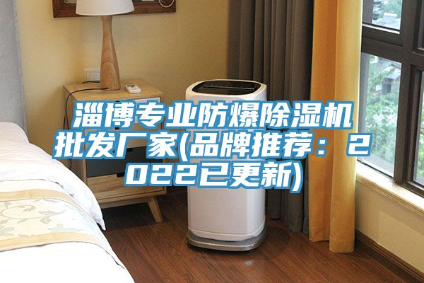 淄博專業防爆榴莲视频官网APP批發廠家(品牌推薦：2022已更新)