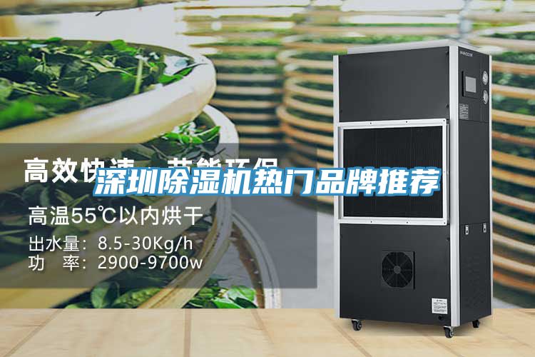 深圳榴莲视频官网APP熱門品牌推薦