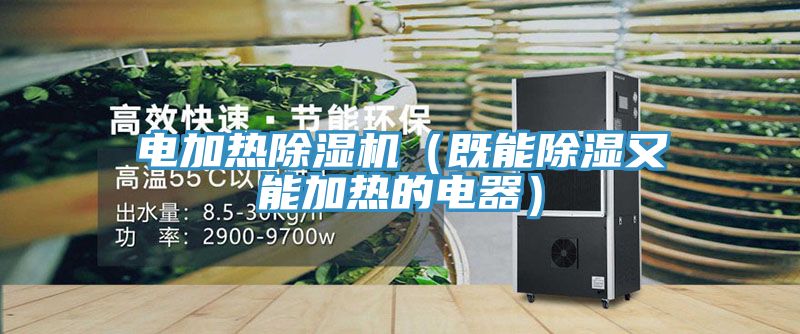 電加熱榴莲视频官网APP（既能除濕又能加熱的電器）