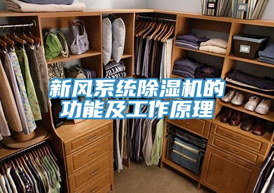 新風係統榴莲视频官网APP的功能及工作原理