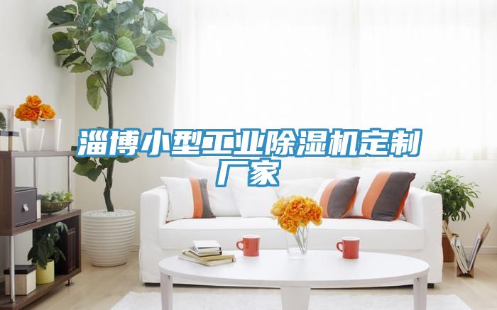 淄博小型工業榴莲视频官网APP定製廠家