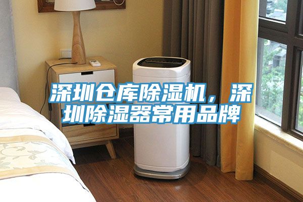 深圳倉庫榴莲视频官网APP，深圳除濕器常用品牌