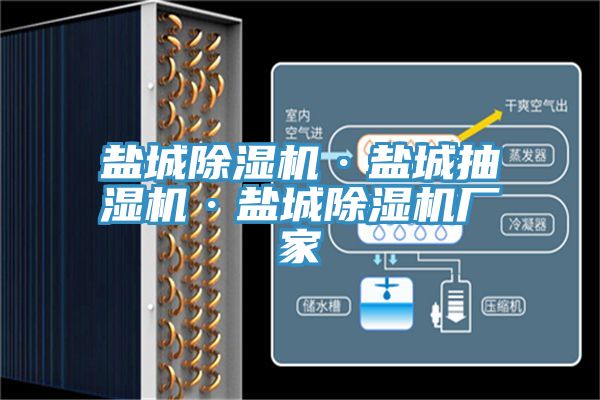 鹽城榴莲视频官网APP·鹽城抽濕機·鹽城榴莲视频官网APP廠家