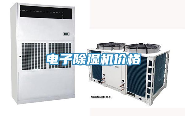 電子榴莲视频官网APP價格