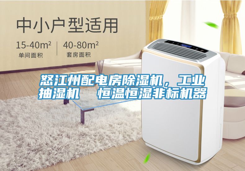怒江州配電房榴莲视频官网APP，工業抽濕機  恒溫恒濕非標機器