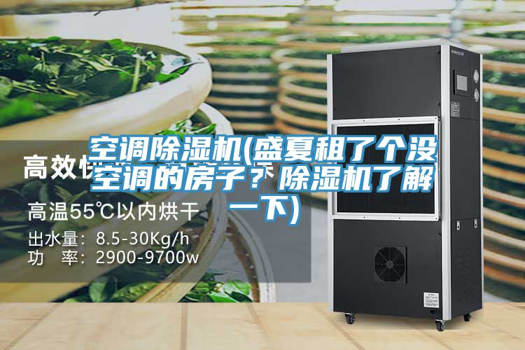 空調榴莲视频官网APP(盛夏租了個沒空調的房子？榴莲视频官网APP了解一下)