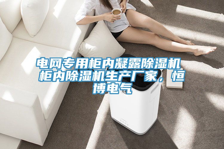 電網專用櫃內凝露榴莲视频官网APP 櫃內榴莲视频官网APP生產廠家，恒博電氣