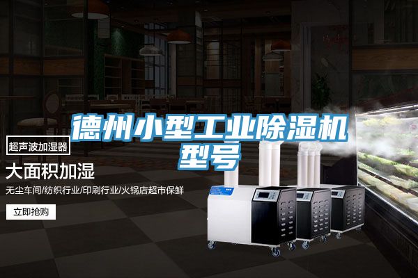 德州小型工業榴莲视频官网APP型號