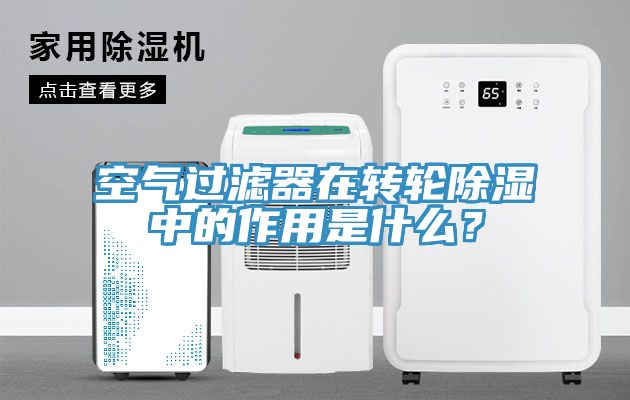 空氣過濾器在轉輪除濕中的作用是什麽？
