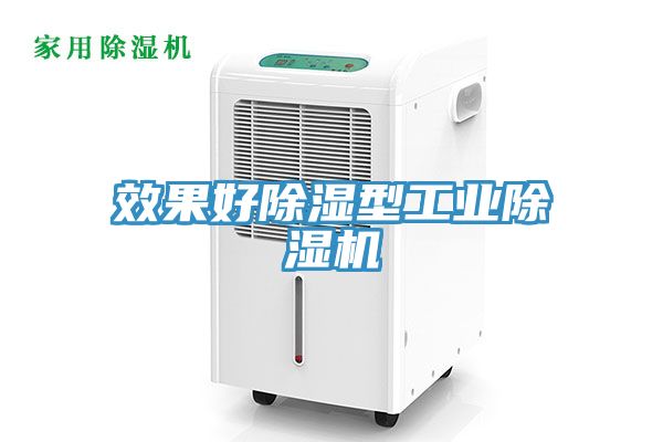 效果好除濕型工業榴莲视频官网APP