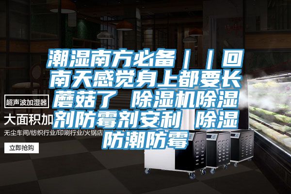 潮濕南方必備｜｜回南天感覺身上都要長蘑菇了 榴莲视频官网APP除濕劑防黴劑安利 除濕防潮防黴